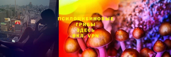 экстази Карпинск