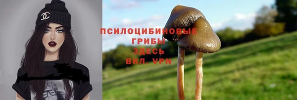 ПСИЛОЦИБИНОВЫЕ ГРИБЫ Карталы