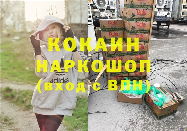 ПСИЛОЦИБИНОВЫЕ ГРИБЫ Карталы