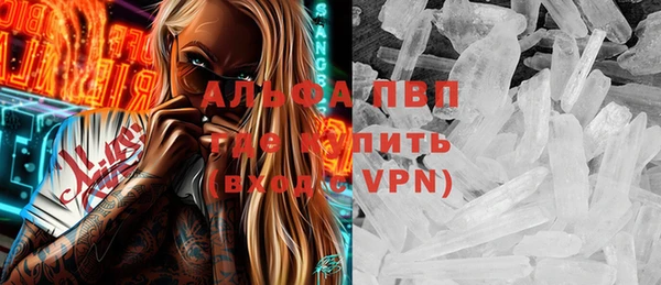 ПСИЛОЦИБИНОВЫЕ ГРИБЫ Карталы