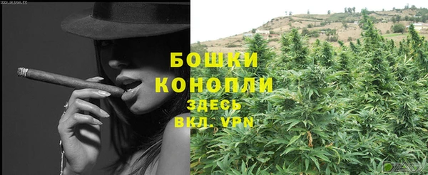 ПСИЛОЦИБИНОВЫЕ ГРИБЫ Карталы