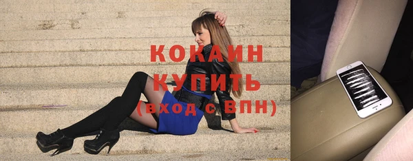 ПСИЛОЦИБИНОВЫЕ ГРИБЫ Карталы