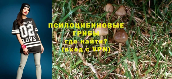 твердый Касимов