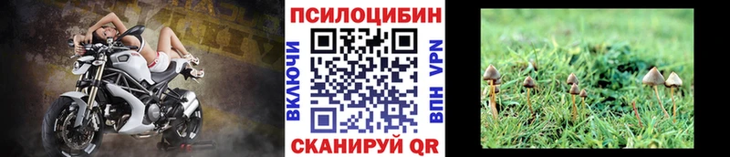Купить где  Егорьевск  Галлюциногенные грибы мицелий 